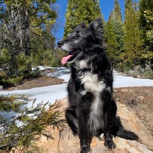 Meet your Posher, Veena